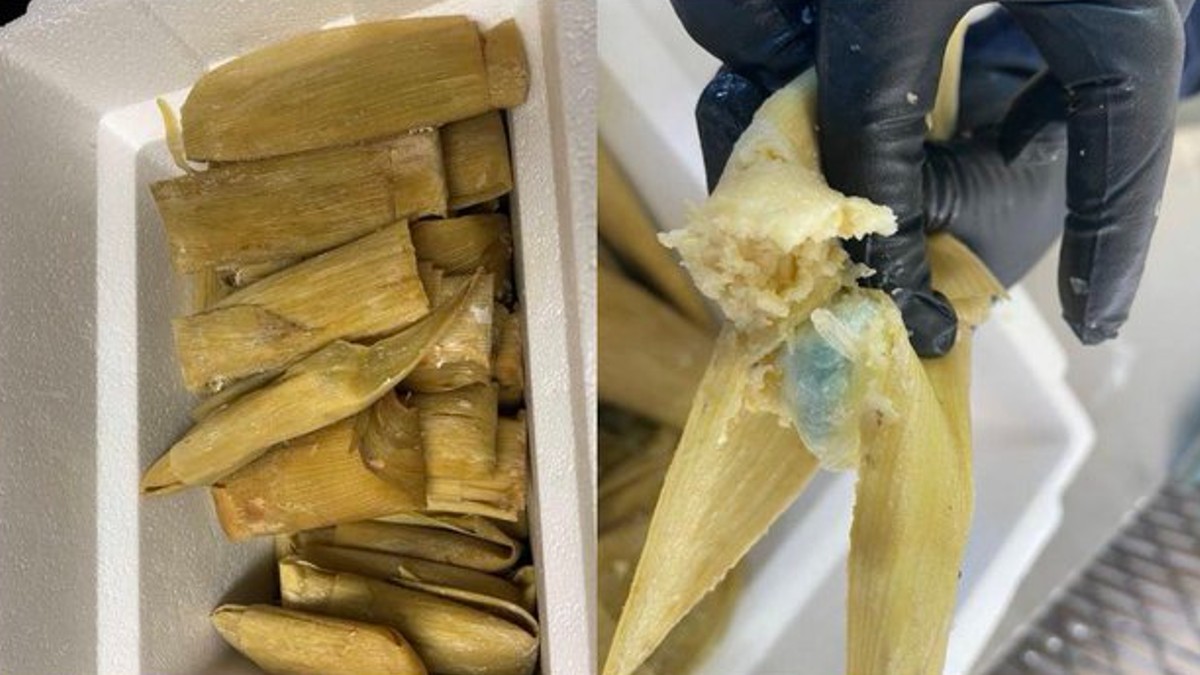 Los oficiales de Aduanas y Protección Fronteriza hallaron las pastillas en pequeñas bolsas de plástico entre la masa de los tamales.