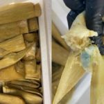 Los oficiales de Aduanas y Protección Fronteriza hallaron las pastillas en pequeñas bolsas de plástico entre la masa de los tamales.