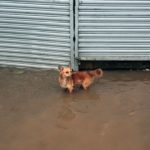 Las lluvias han afectado a Nicaragua.