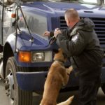 Un can antidrogas alertó a los agentes sobre anomalías en el contenedor del camión.