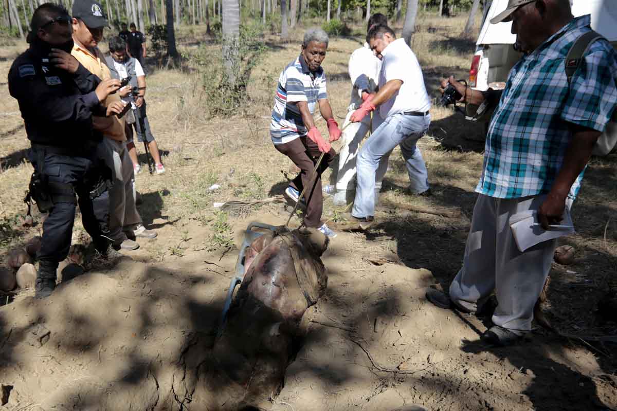 Las autoridades de Colima llevaban tres semanas exhumando cadáveres hasta que la presión de algunos colectivos obligó a que la noticia de hiciera pública.