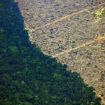 El 38% de la superficie forestal amazónica restante se ha visto afectada por algún tipo de perturbación humana