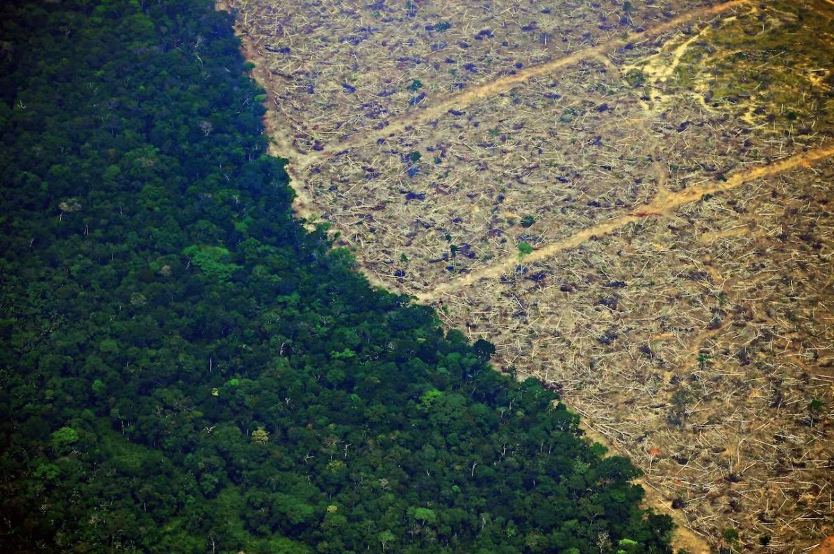 El 38% de la superficie forestal amazónica restante se ha visto afectada por algún tipo de perturbación humana