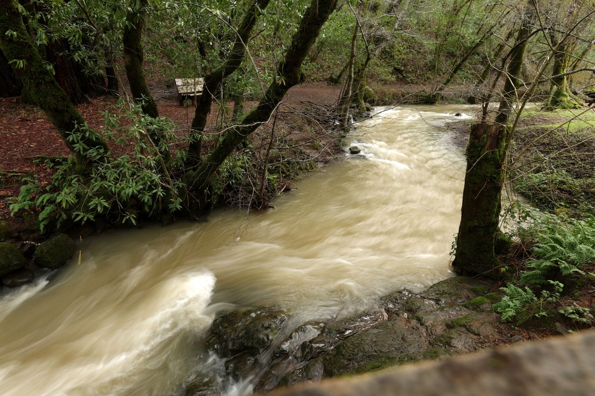 La pareja fue rescatada en el lecho de un río, cuyo nivel de agua crecía rápidamente.