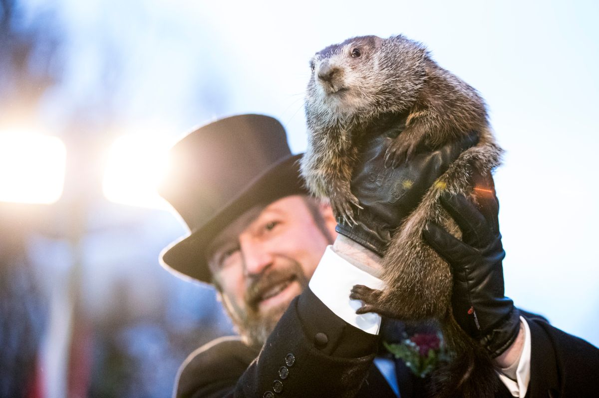 El Día de la Marmota es una tradición popular en los Estados Unidos y Canadá donde la gente espera el amanecer y la salida de la marmota de su guarida de invierno.