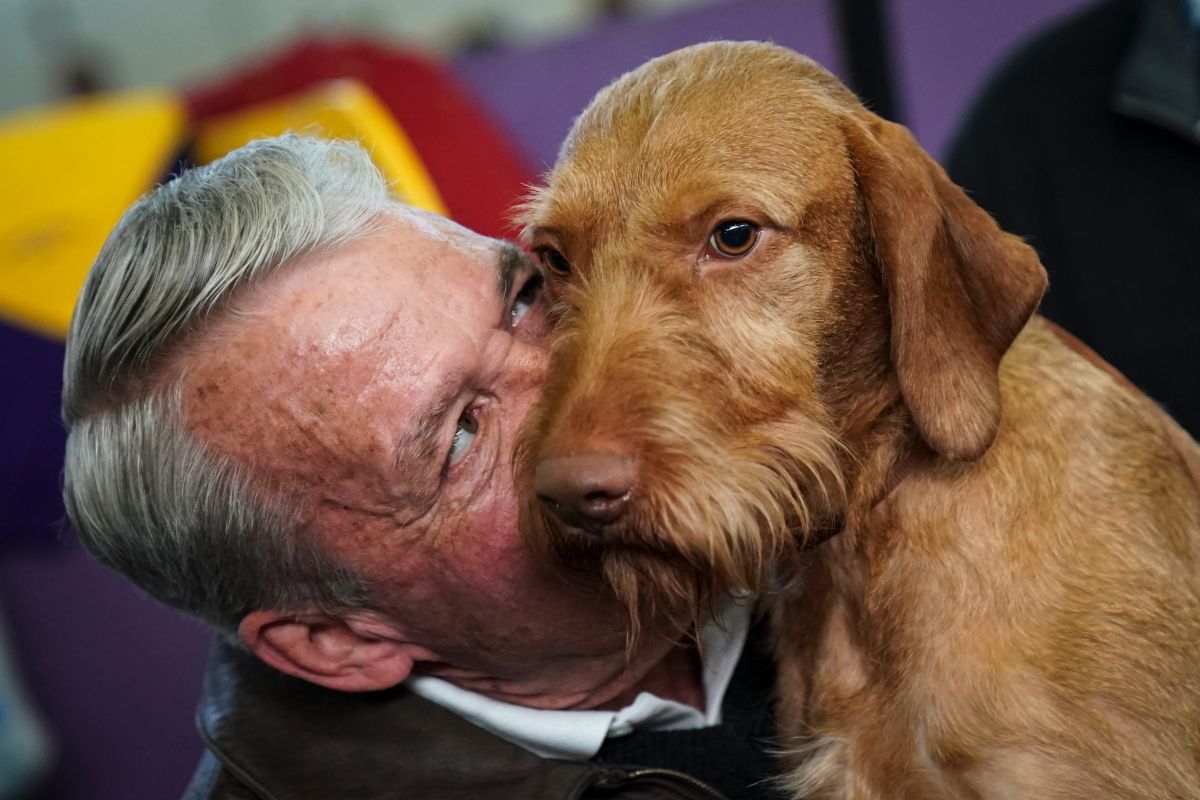 Más de la mitad (55%)  conversa con su mascota cuando no hay nadie cerca, y el 48% le ha contado algún secreto que nunca había contado a nadie. / Foto: Getty Images