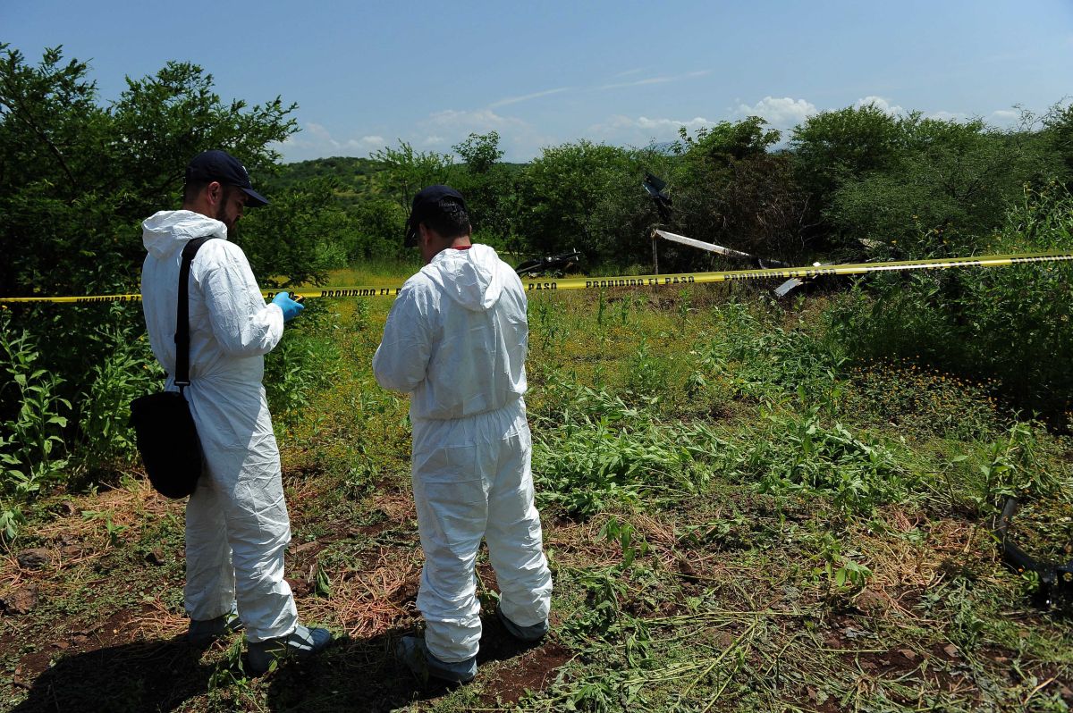 Los peritos forenses usaron binomios caninos para rastrear el terreno y localizar los cuerpos.