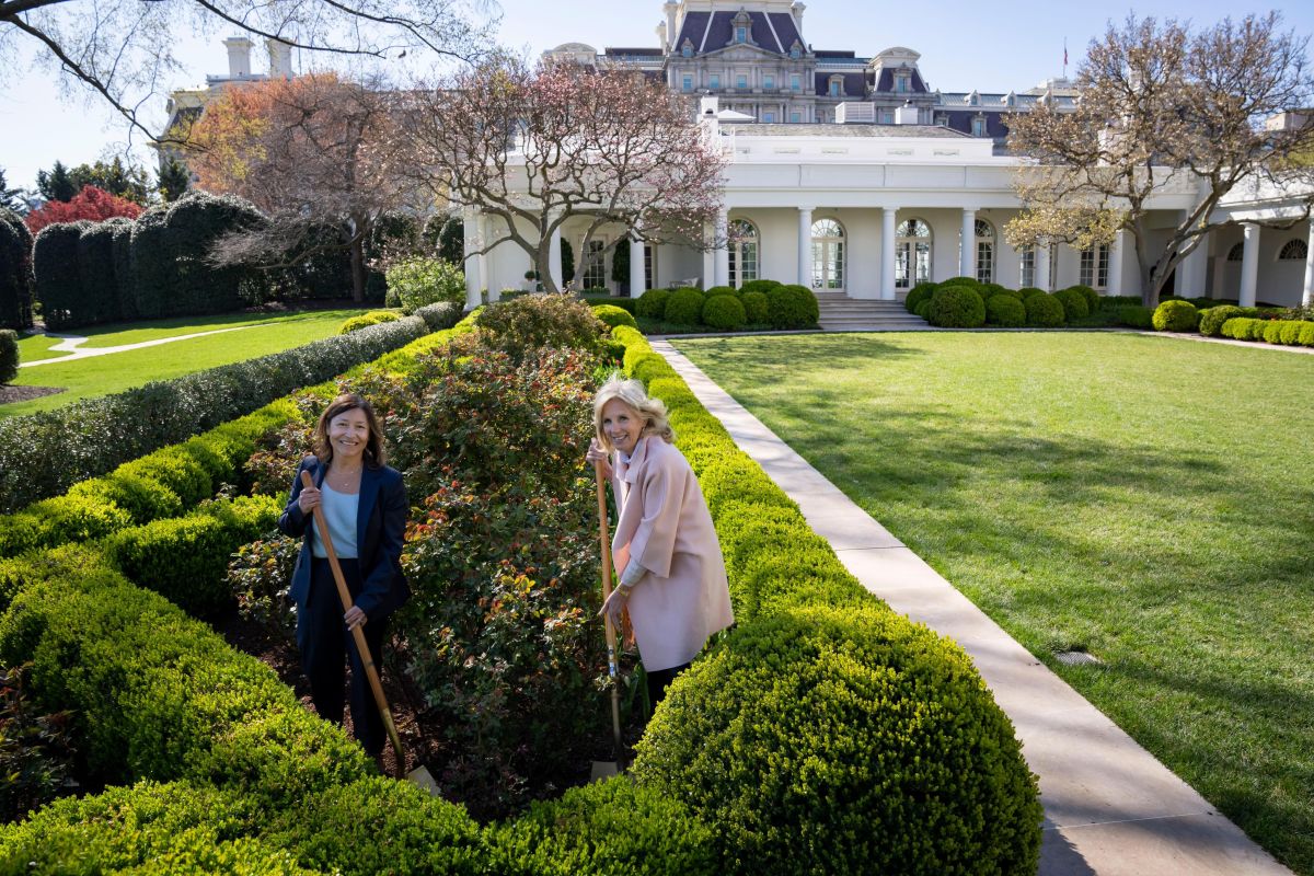 Jill Biden (d), y Julie Chávez Rodríguez, plantaron rosas en honor de César Chávez en la Casa Blanca.