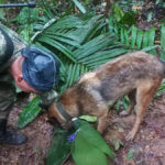 Las fuerzas especiales entraron hace 17 días a la selva en los límites entre el Caquetá y Guaviare.