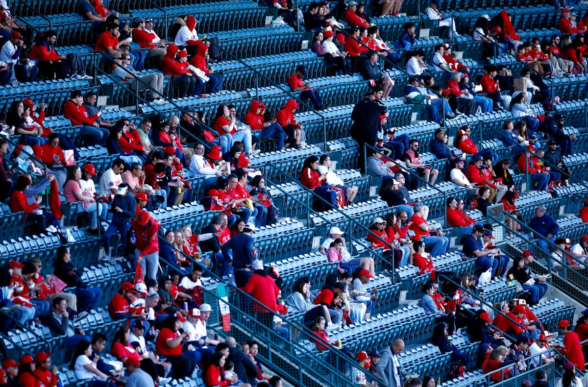 Fans de Los Angeles Angels. 